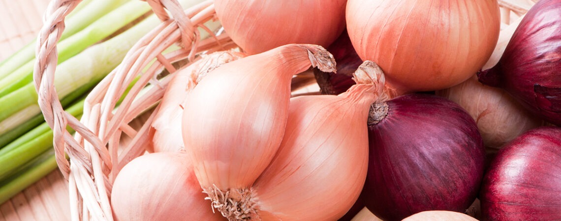 onions feat 1 1140x450 - PRODUCTS