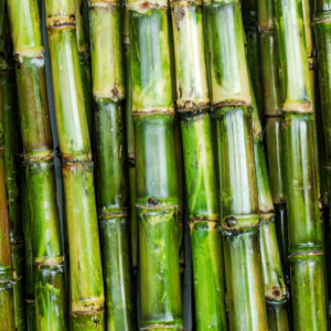 sugarcane 300x300 - PRODUCTS