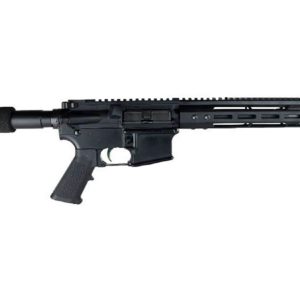 334916 300x300 - Bear Creek Arsenal AR-15
