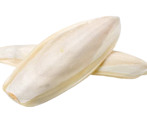 Buy Cuttlefish Bone