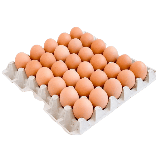 Buy Chicken Egg Online