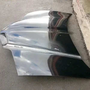 download 3 4 300x300 - TRANS AM HOOD