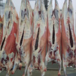 beef1