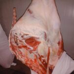 meat 4